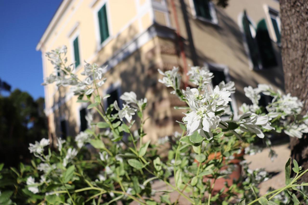 Villa Teresa Porto Azzurro Eksteriør billede